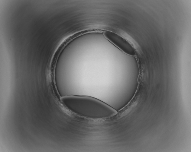 X0000112490924200908170948