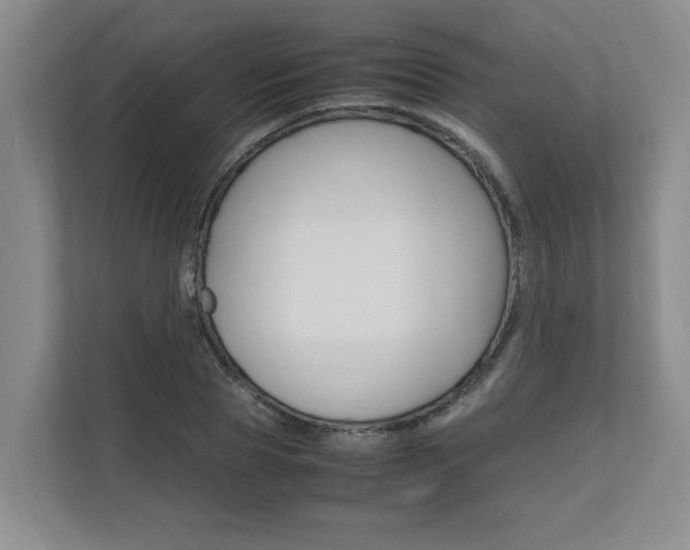X0000112490929200908170948