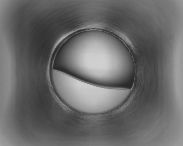 X0000112490936200908170948