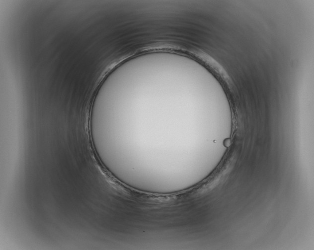 X0000112490937200908170948