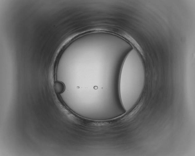 X0000112490939200908170948
