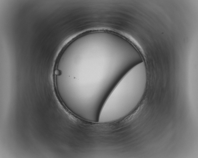 X0000112490943200908170948