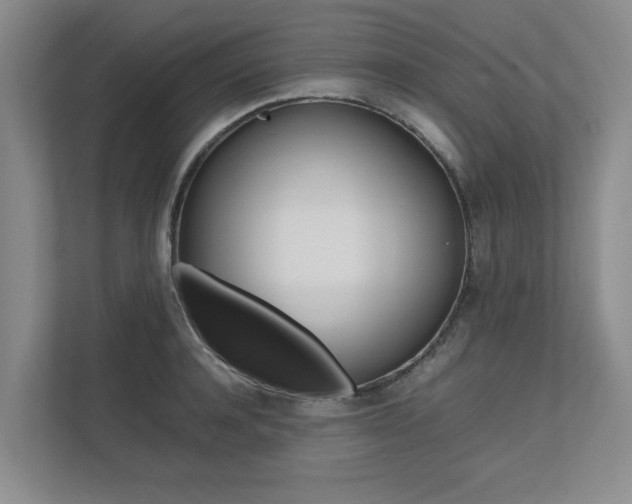 X0000112490944200908170948