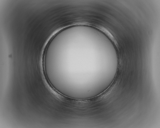 X0000112490947200908170948