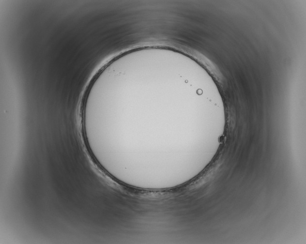 X0000112490950200908170948