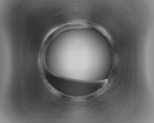 X0000112490952200908170948