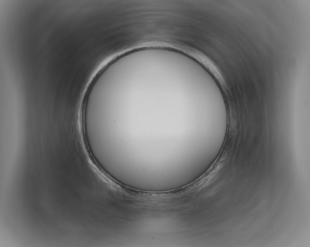 X0000112490958200908170949