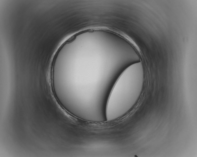 X0000112490959200908170949
