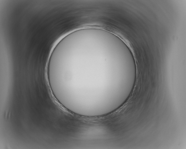 X0000112490960200908170949
