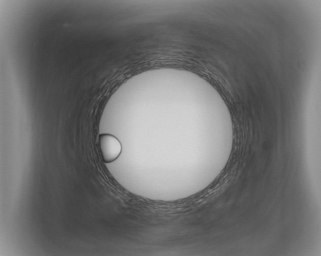 X0000112490961200908170948