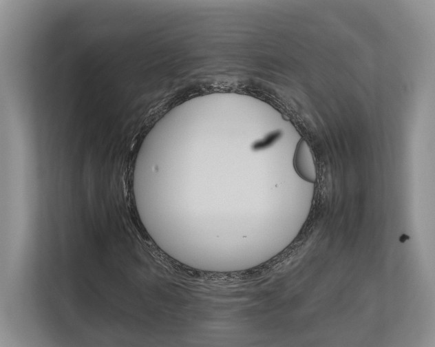 X0000112490962200908170948