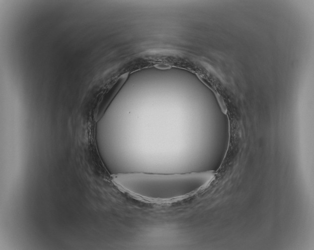 X0000112490965200908170948