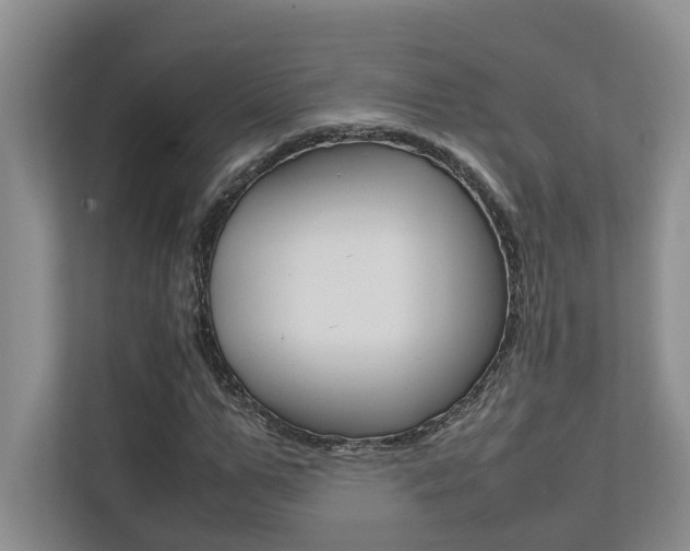 X0000112490967200908170948
