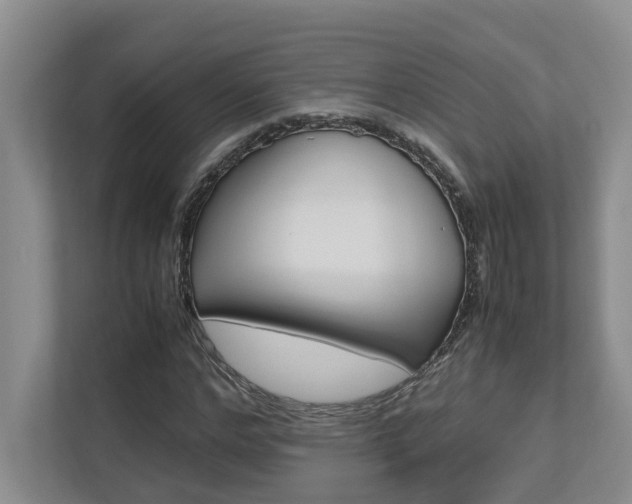 X0000112490968200908170948