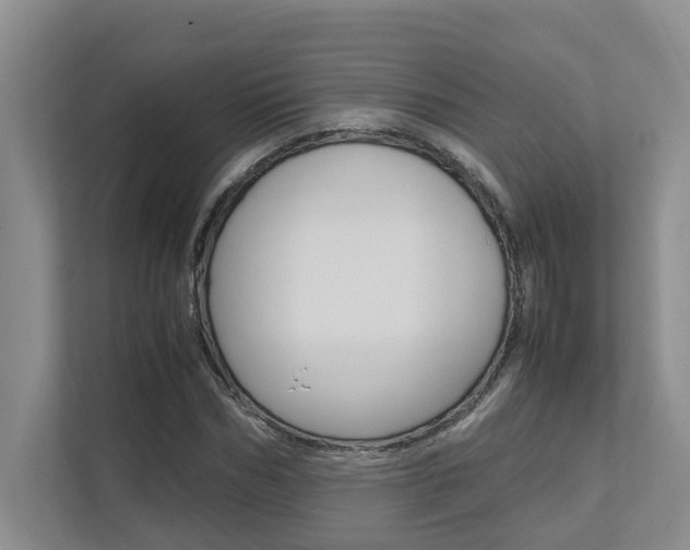 X0000112490970200908170948