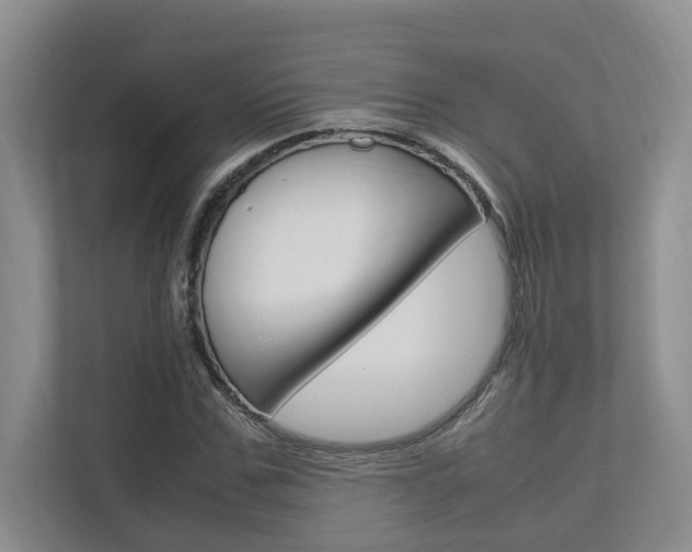 X0000112490971200908170948