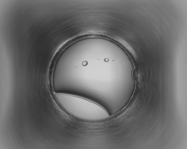 X0000112490972200908170948