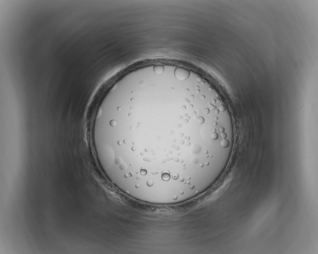 X0000112490974200908170948