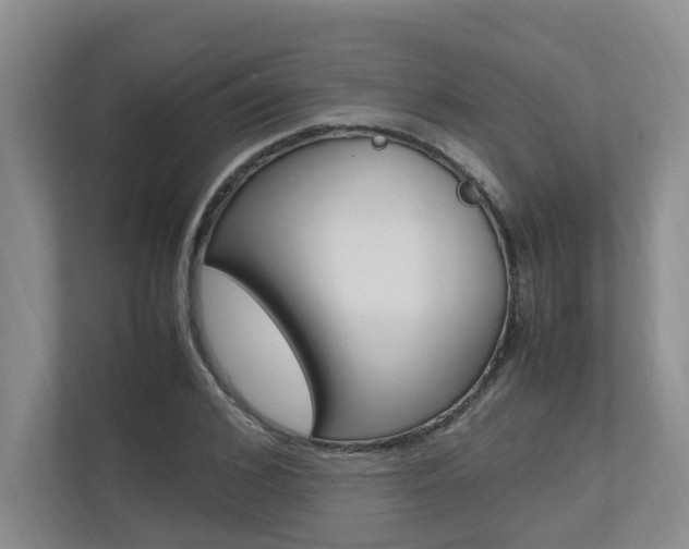 X0000112490976200908170948