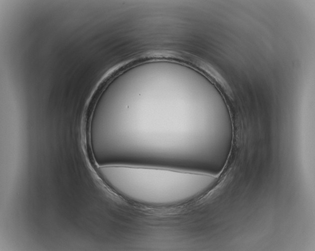 X0000112490984200908170948