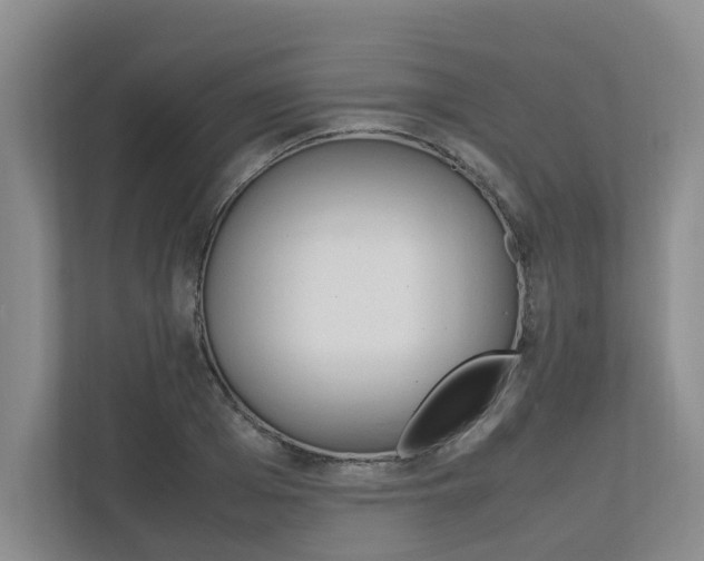 X0000112490985200908170948