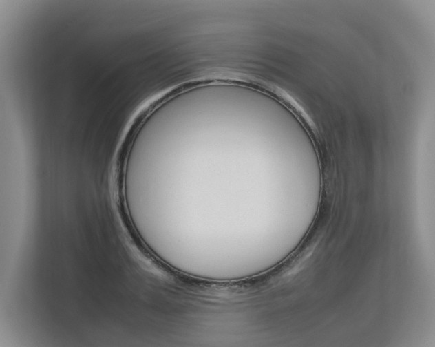 X0000112490987200908170948