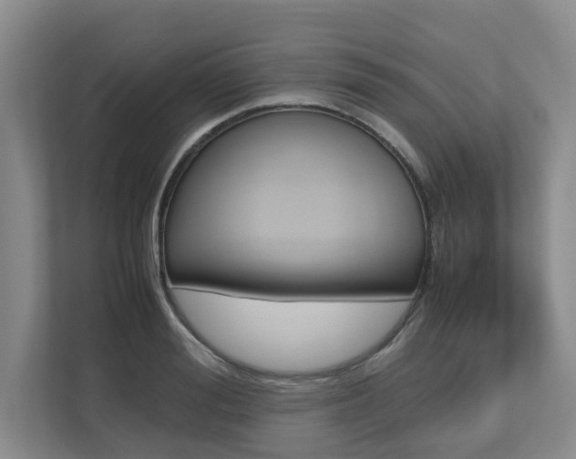 X0000112490988200908170948