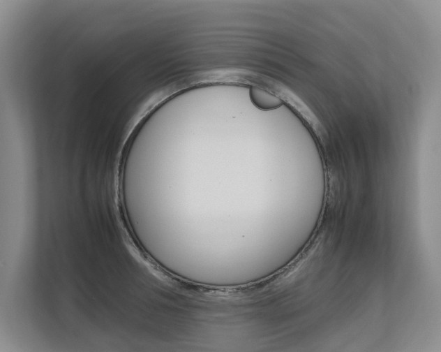 X0000112490994200908170947