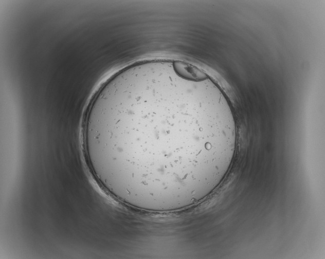 X0000112490998200908170947