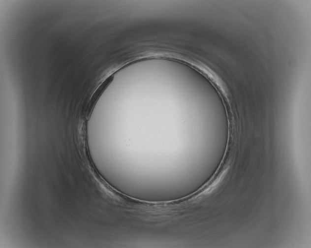 X0000112491001200908170947
