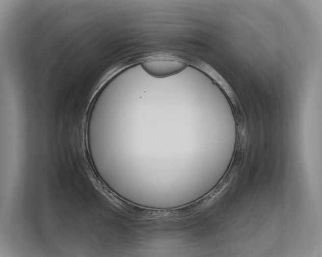 X0000112491002200908170947