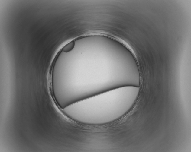 X0000112491003200908170947