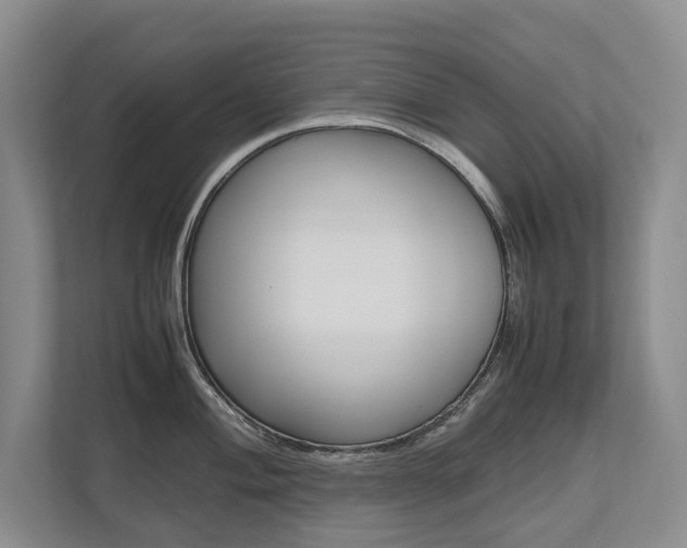 X0000112491004200908170947