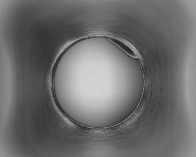X0000112491005200908170947