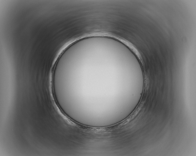 X0000112491006200908170947