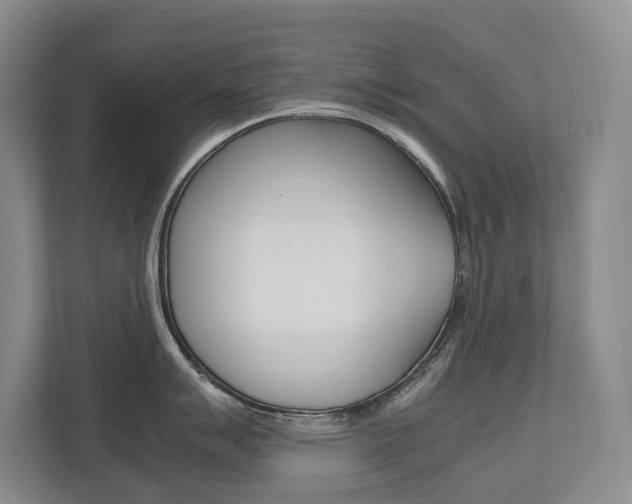 X0000112491007200908170947