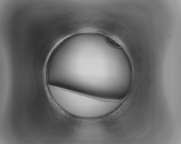 X0000112491008200908170947