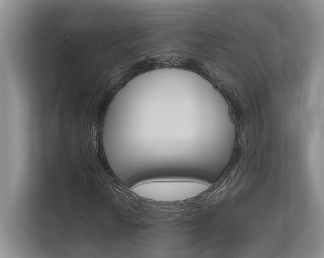 X0000112491010200908170947