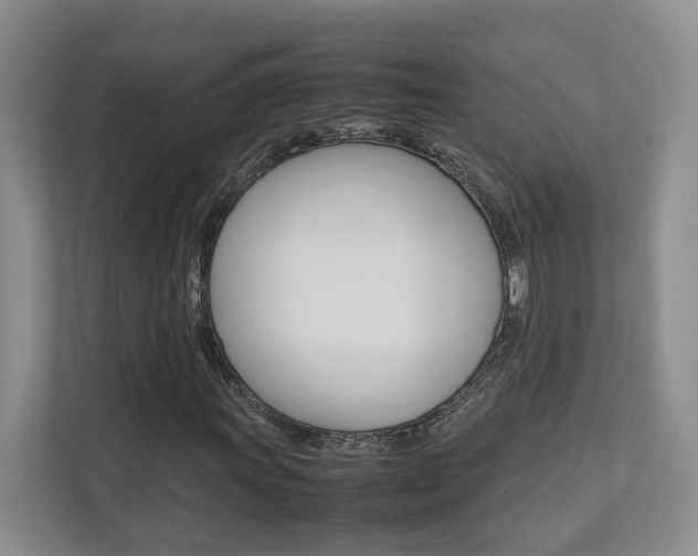 X0000112491011200908170947