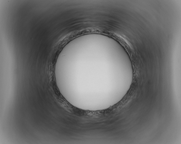 X0000112491015200908170947