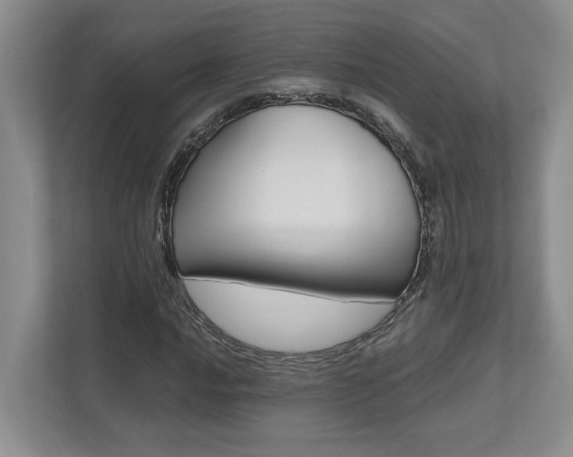 X0000112491016200908170947