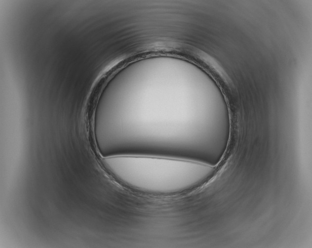 X0000112491018200908170947