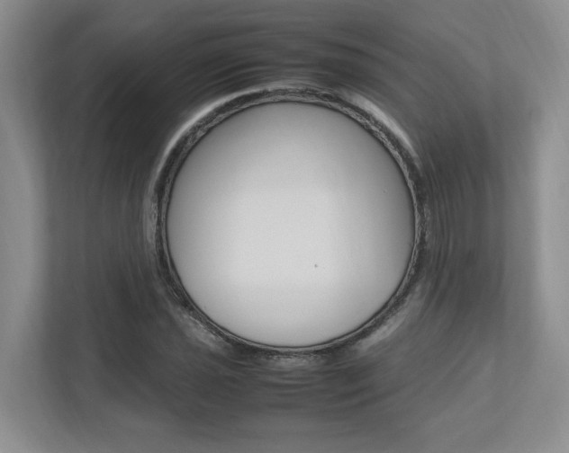 X0000112491021200908170947