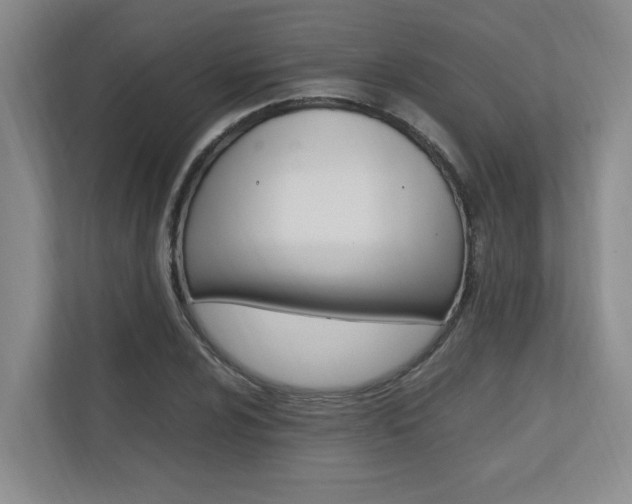 X0000112491024200908170947