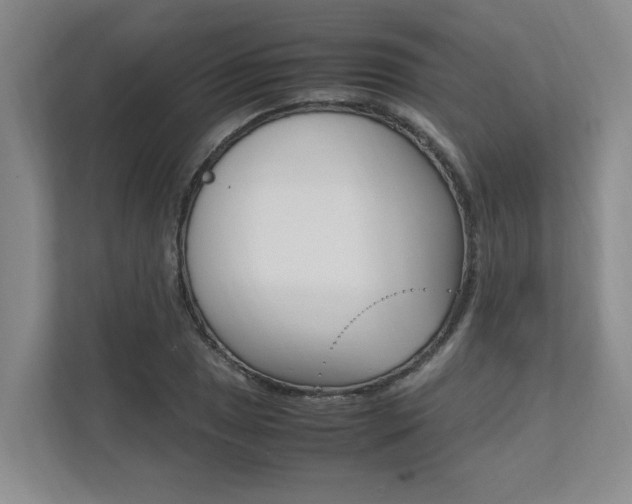 X0000112491025200908170947