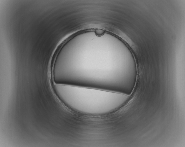 X0000112491028200908170947