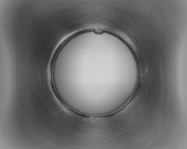 X0000112491032200908170947