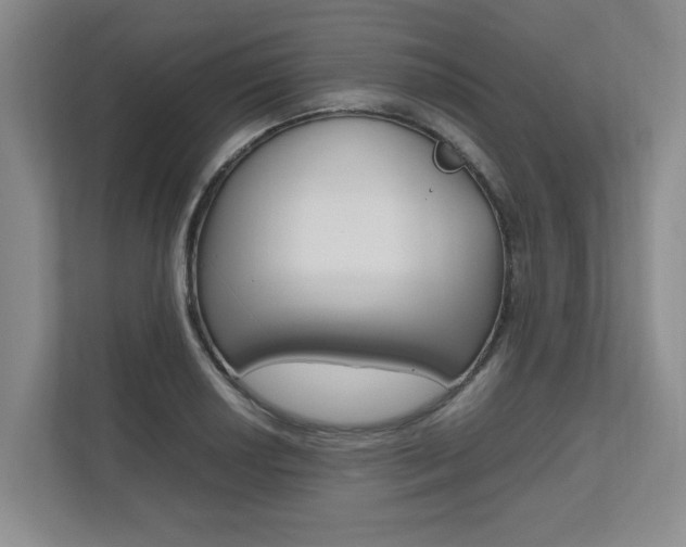 X0000112491034200908170947