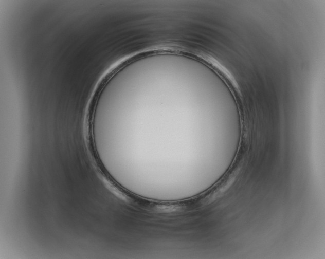 X0000112491037200908170947