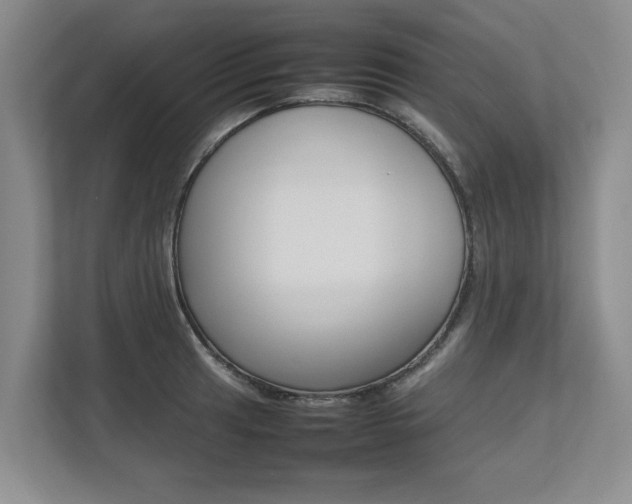 X0000112491041200908170947